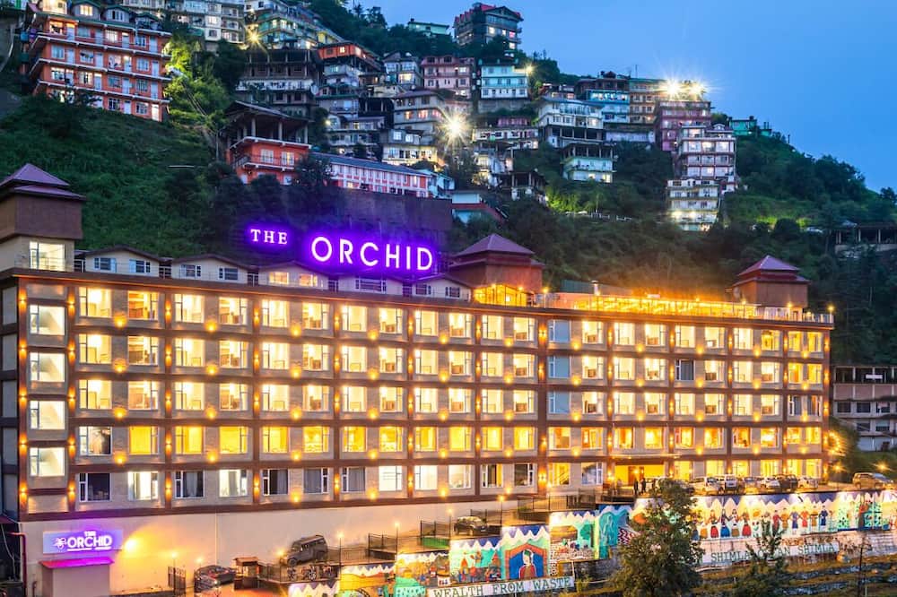 The Orchid Shimla