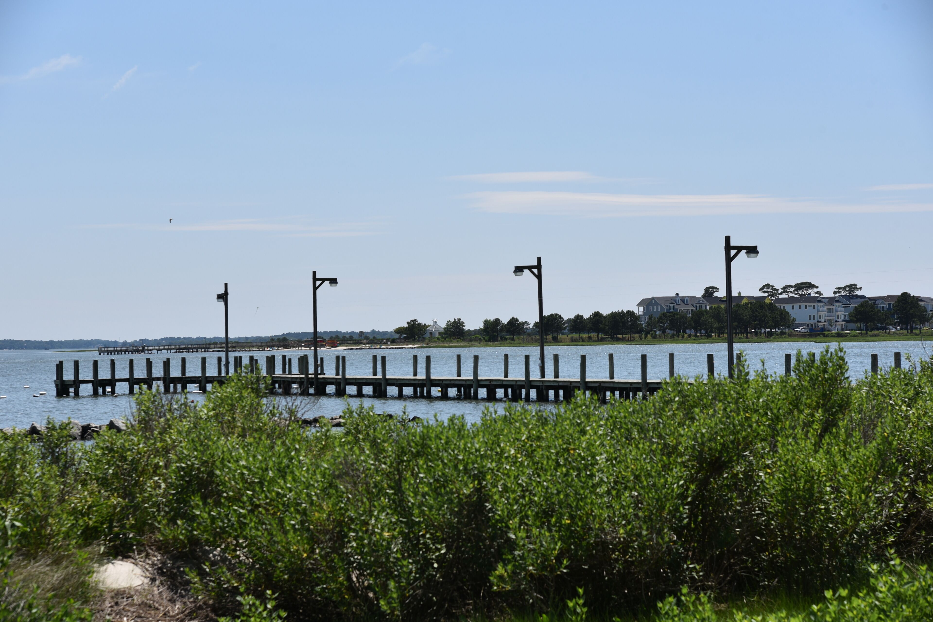A waterfront view with a wooden pier extending into the water, surrounded by greenery.
