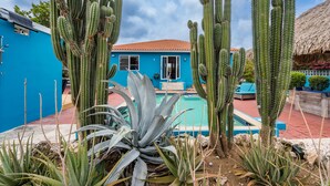 A blue building with a pool and cacti in the foreground. - Villa Despacito (Sint Willibrordus)