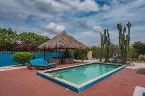 Outdoor pool - Villa Despacito (Sint Willibrordus)