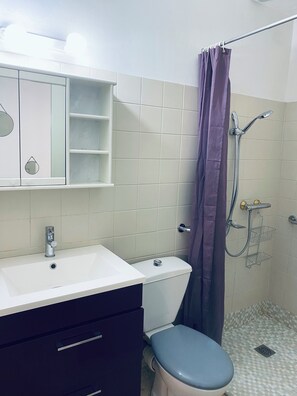 Douche, séchoir à cheveux, serviettes fournies, papier de toilette