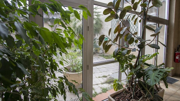 A view through a glass door with potted plants and a tiled patio area. - APPT 11 de la MAISON D'ANTONIN (Nîmes)