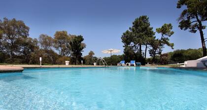 Farm on the beach, sea view 2 steps from Lisbon