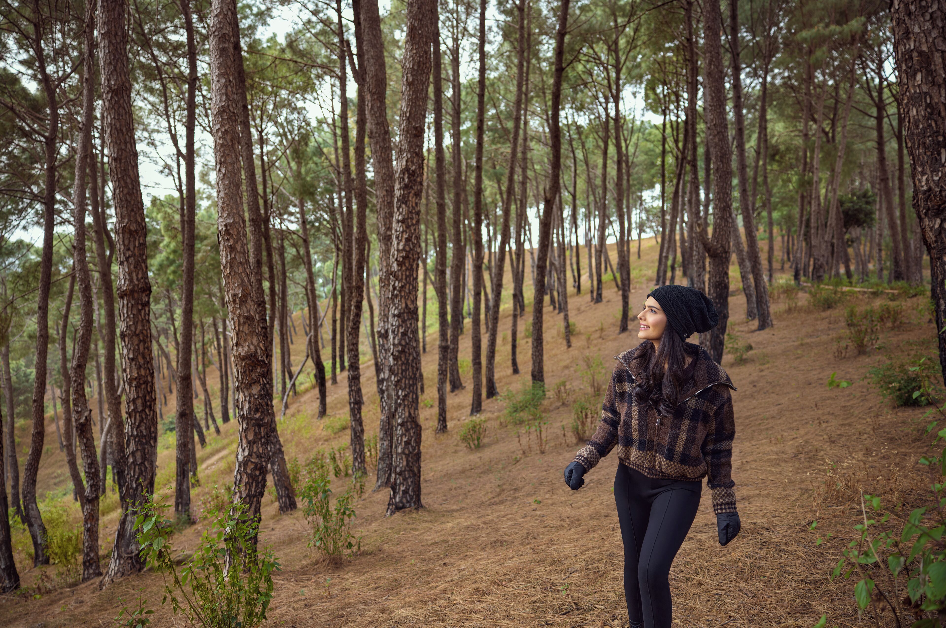 A forested area with tall trees and a clear path.