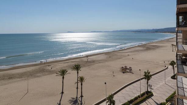 A beach with a clear view of the ocean, a sandy shore, and a few palm trees. - EL RACO, B-8º-15 (Cullera)