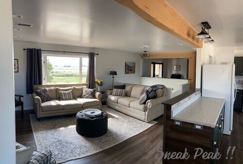 20+ Acres of Peace @ The Saratoga Hoemstead