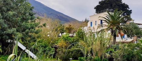 House | Property grounds