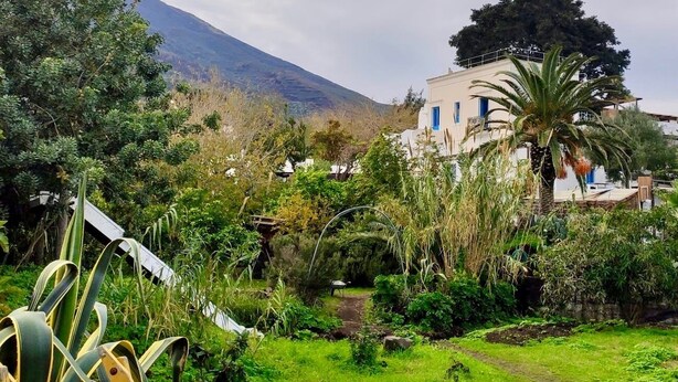 Un jardin avec un sentier menant à un bâtiment doté d’une porte bleue.