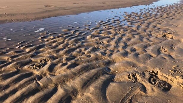 Een zandstrand met voetafdrukken en rimpelingen in het zand.
