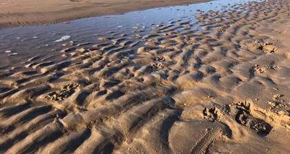 Blue Beach House 350 meters from sea