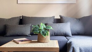 A modern living room with a grey sofa, a woven coffee table, a potted plant, and a framed artwork on the wall.