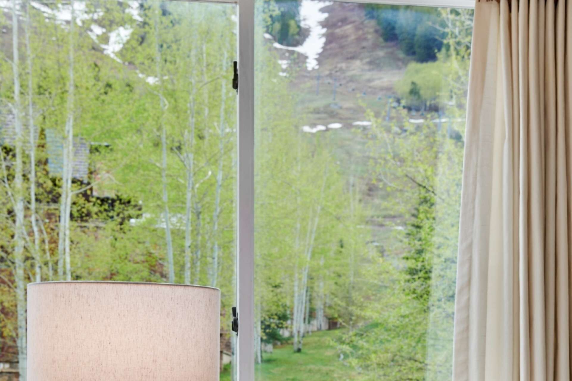 A room with a large window offering a view of a forested area with trees and a mountain in the distance.