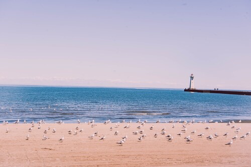 Tidesides Marine Bay house rentals