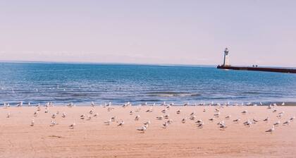 Tidesides Marine Bay house rentals