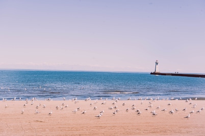 Tidesides Marine Bay house rentals