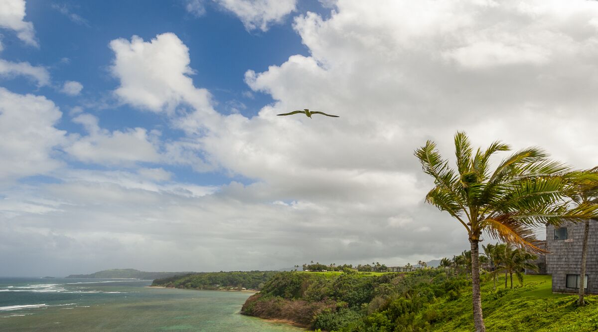 Eine Küstenlandschaft mit freiem Blick auf den Ozean, ein fliegender Vogel und ein Gebäude mit einem geneigten Dach.