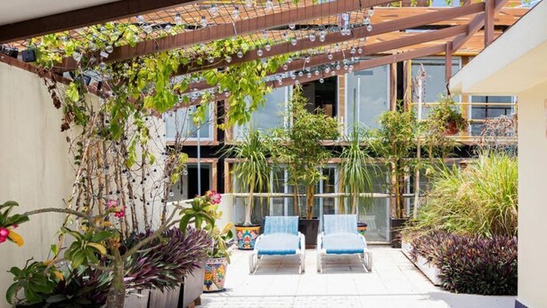 Un patio cubierto con dos sillones, plantas en macetas y una pérgola con luces colgantes.
