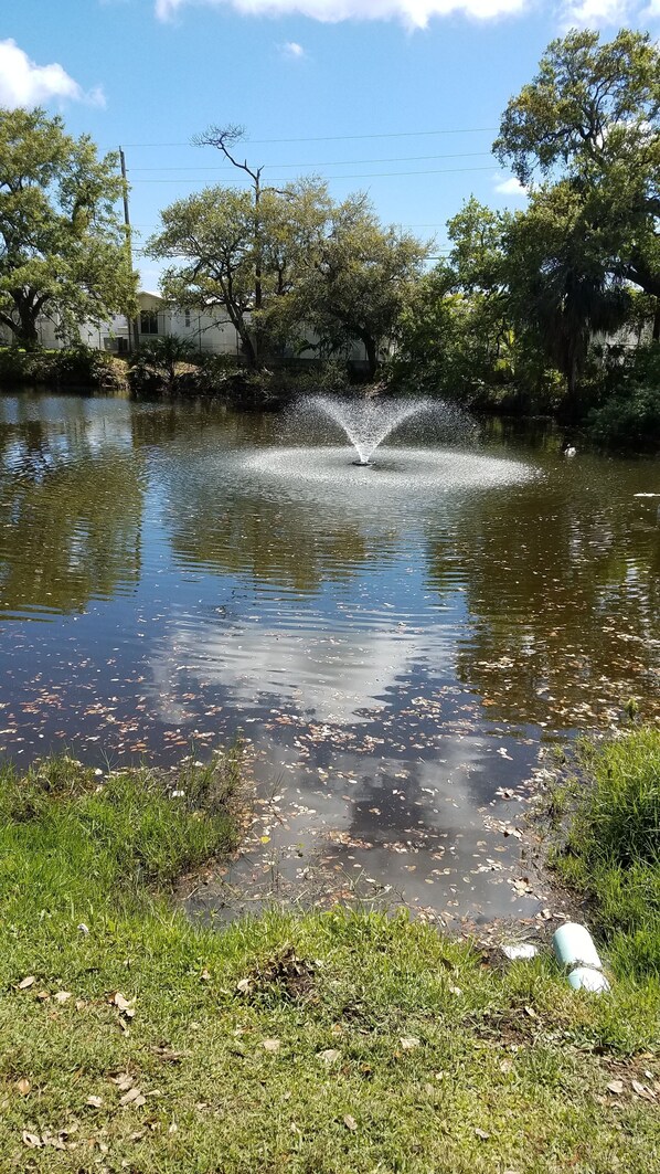 Property grounds - Entire house (Hallandale Beach)