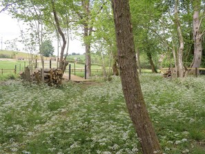 Property grounds - 1 bedroom accommodation in Llanfyllin, near Welshpool (Llanfyllin, near Welshpool)