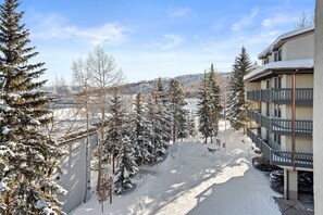 Condo (Interlude 303) | Terrain de l’hébergement 