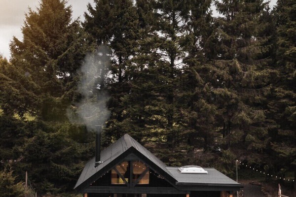Forest Cabin