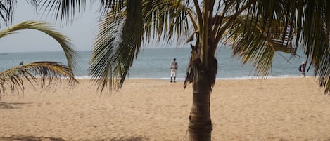 Plage à proximité, chaises longues, serviettes de plage