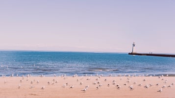 Una spiaggia nelle vicinanze