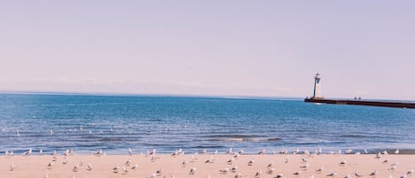 Playa en los alrededores 