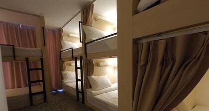 Signel Hostel