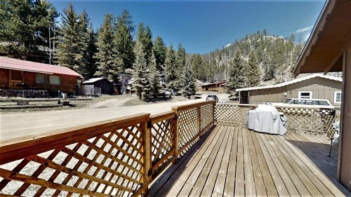 Knotty & Nice - In Town - Pet Friendly! - Gas Fireplace - Washer/Dryer - Gas Gri