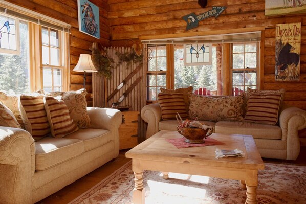 TV, fireplace, DVD player