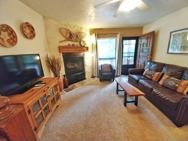 TV, fireplace, DVD player