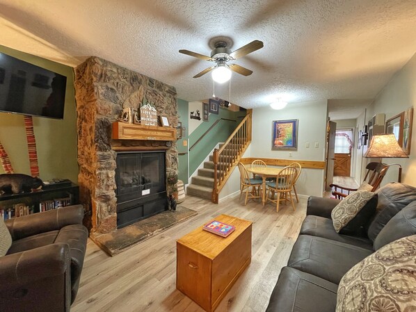 TV, fireplace, DVD player, books