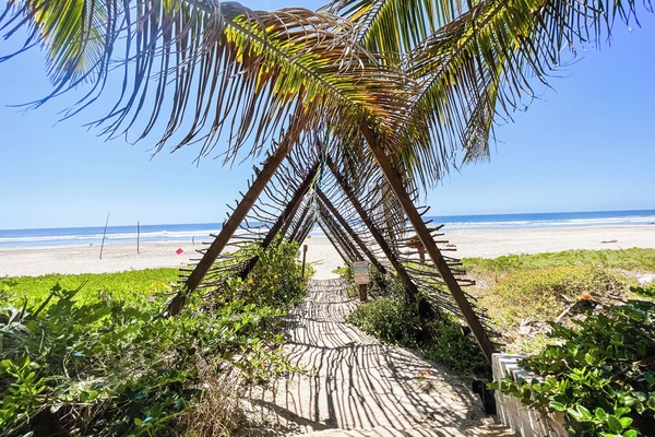 Plage, chaises longues, serviettes de plage