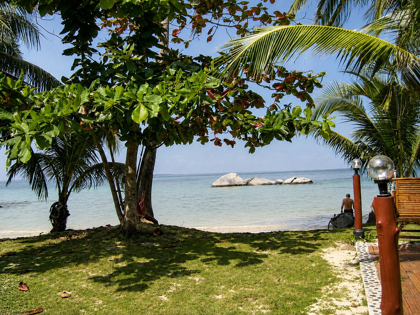 A tropical beach scene with palm trees, a wooden deck, and a clear view of the ocean.