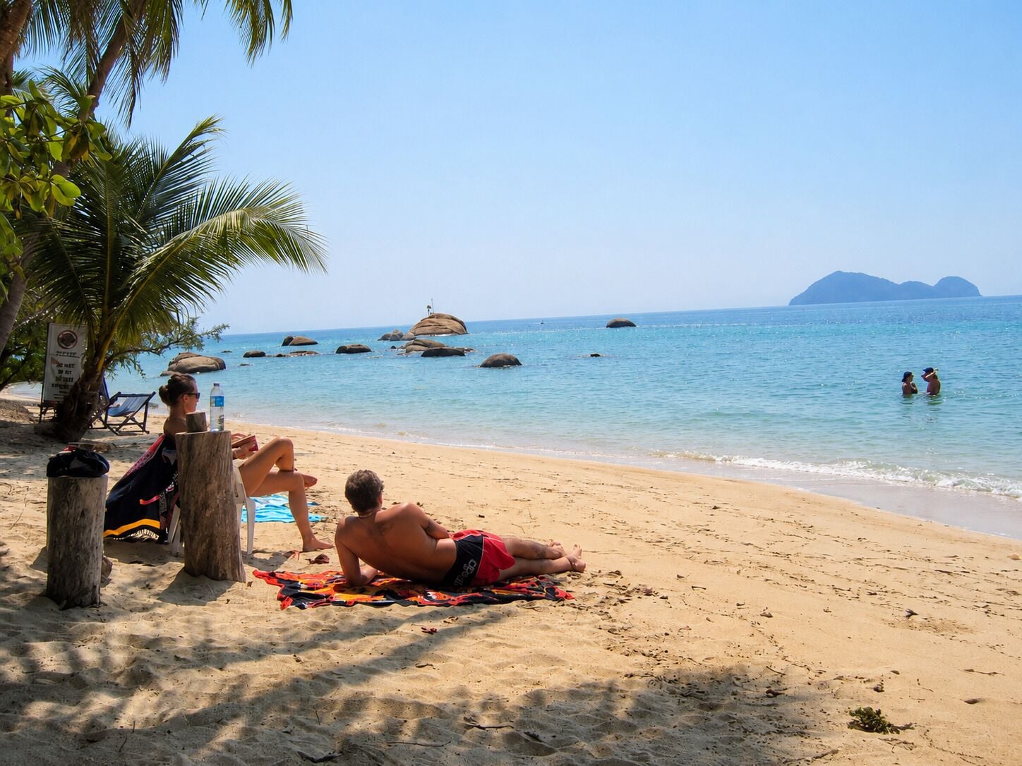 A beach with clear skies, palm trees, and a calm sea.