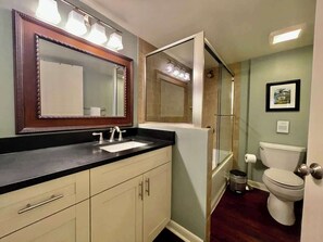 Combined shower/tub, hair dryer