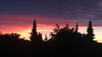 A silhouette of a forest against a sunset sky.