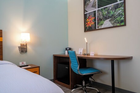SPOT X Hotel Orlando Intl Dr by The Red Collection - Image 103