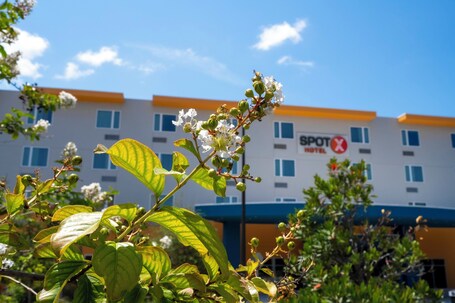 SPOT X Hotel Orlando Intl Dr by The Red Collection - Image 16