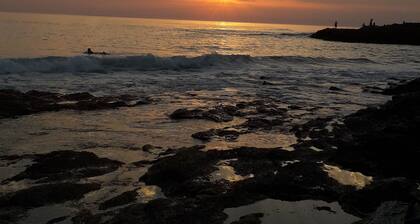 Villa 12 pers : 6 bedrooms, 3 bathrooms, 3wc/ 200m from the beach of La Sauzaie