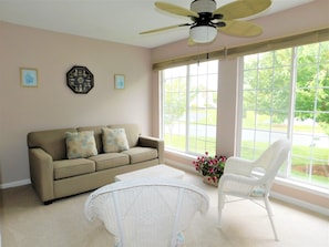 Streaming services - 33 (38275) Thistle Ct. - Bethany Meadows (Frankford)