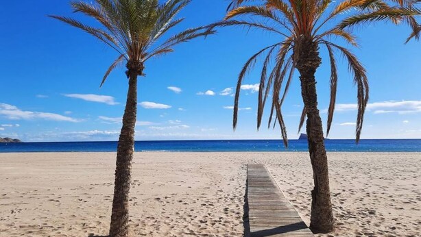 Un sendero de madera que lleva a una playa con dos palmeras y un cielo azul despejado.