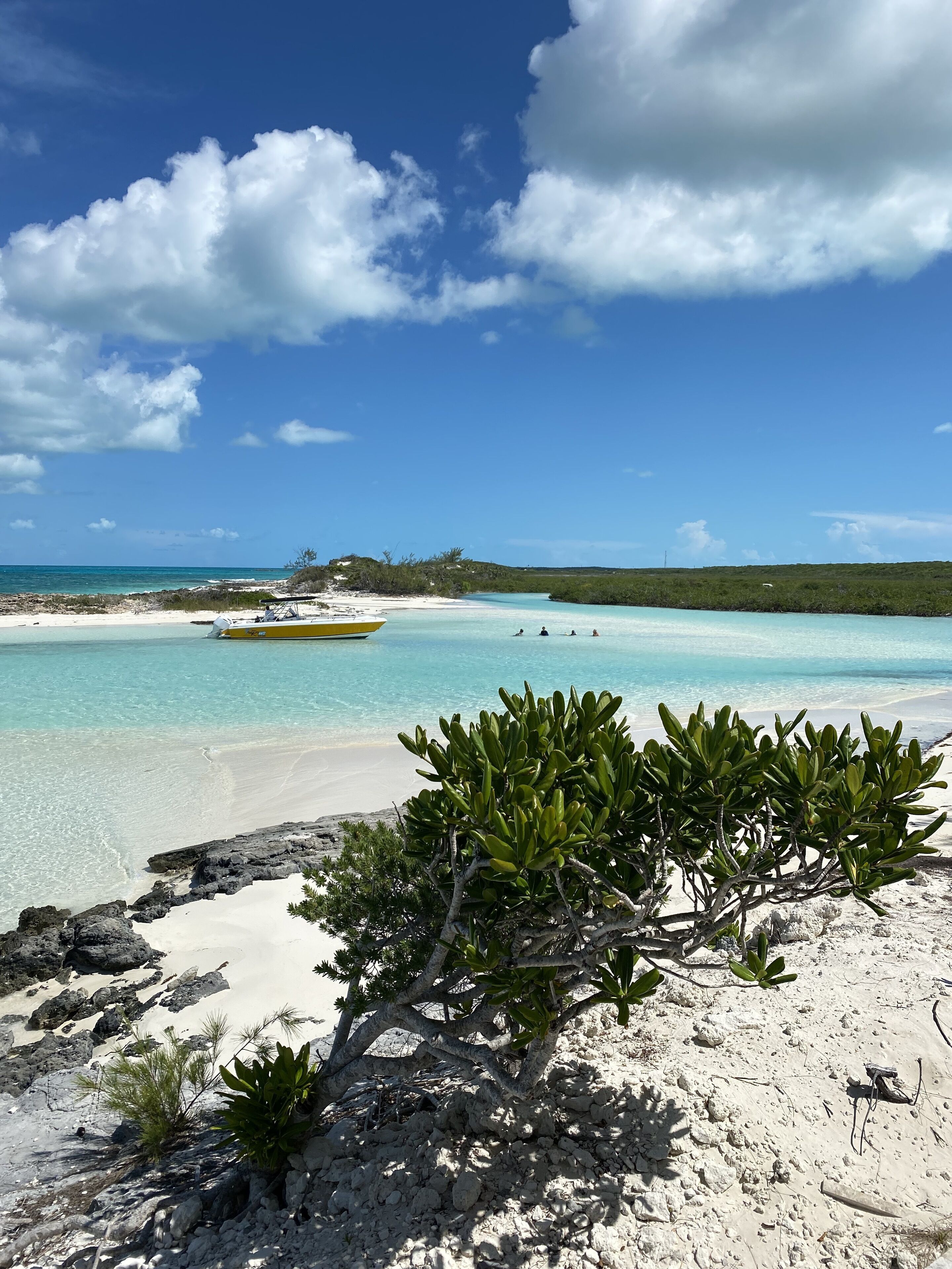 Une plage avec une eau turquoise et limpide, du sable blanc et un petit bateau. On aperçoit des arbustes verts au premier plan.