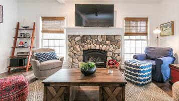 TV, fireplace, video games, books