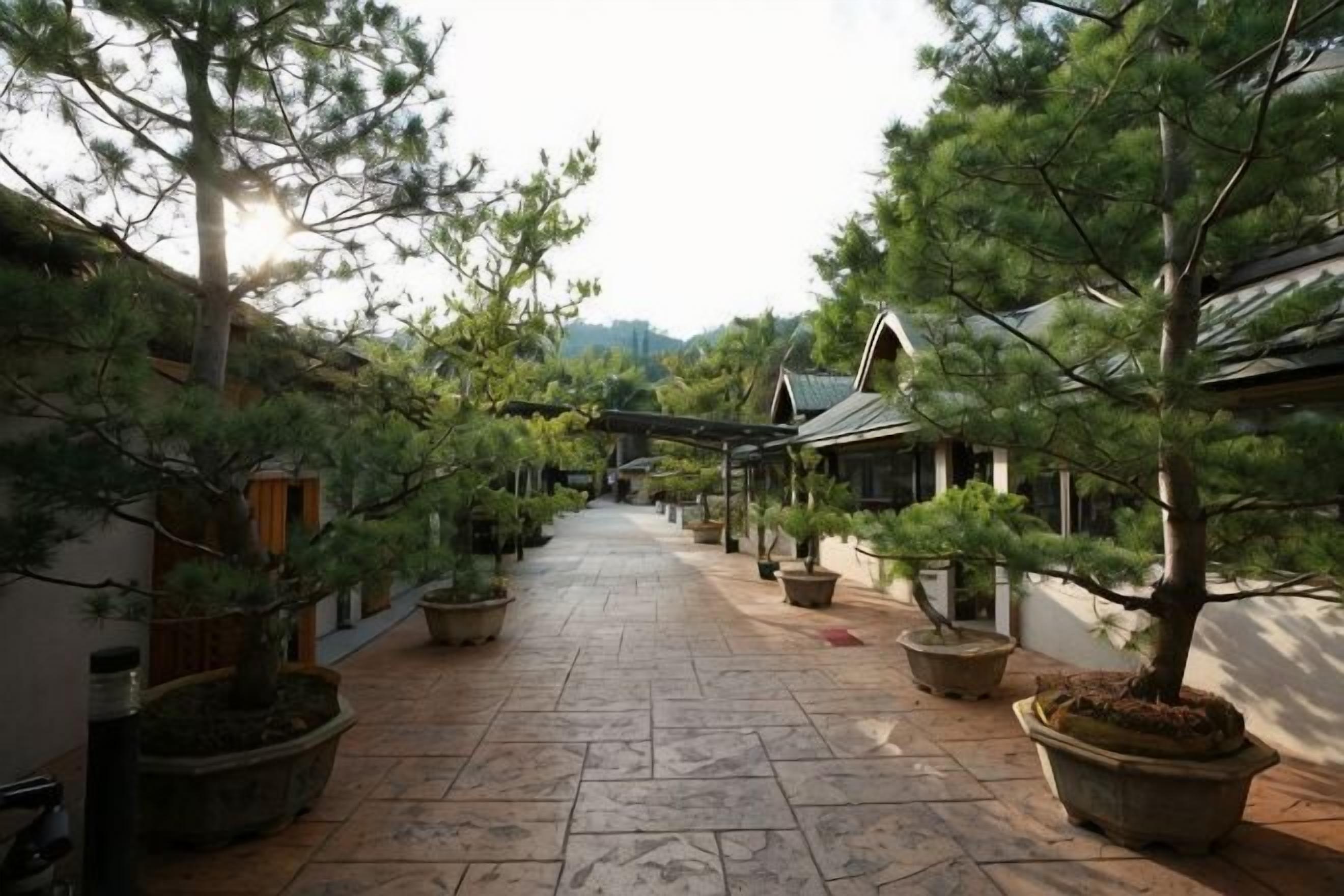 Jardín