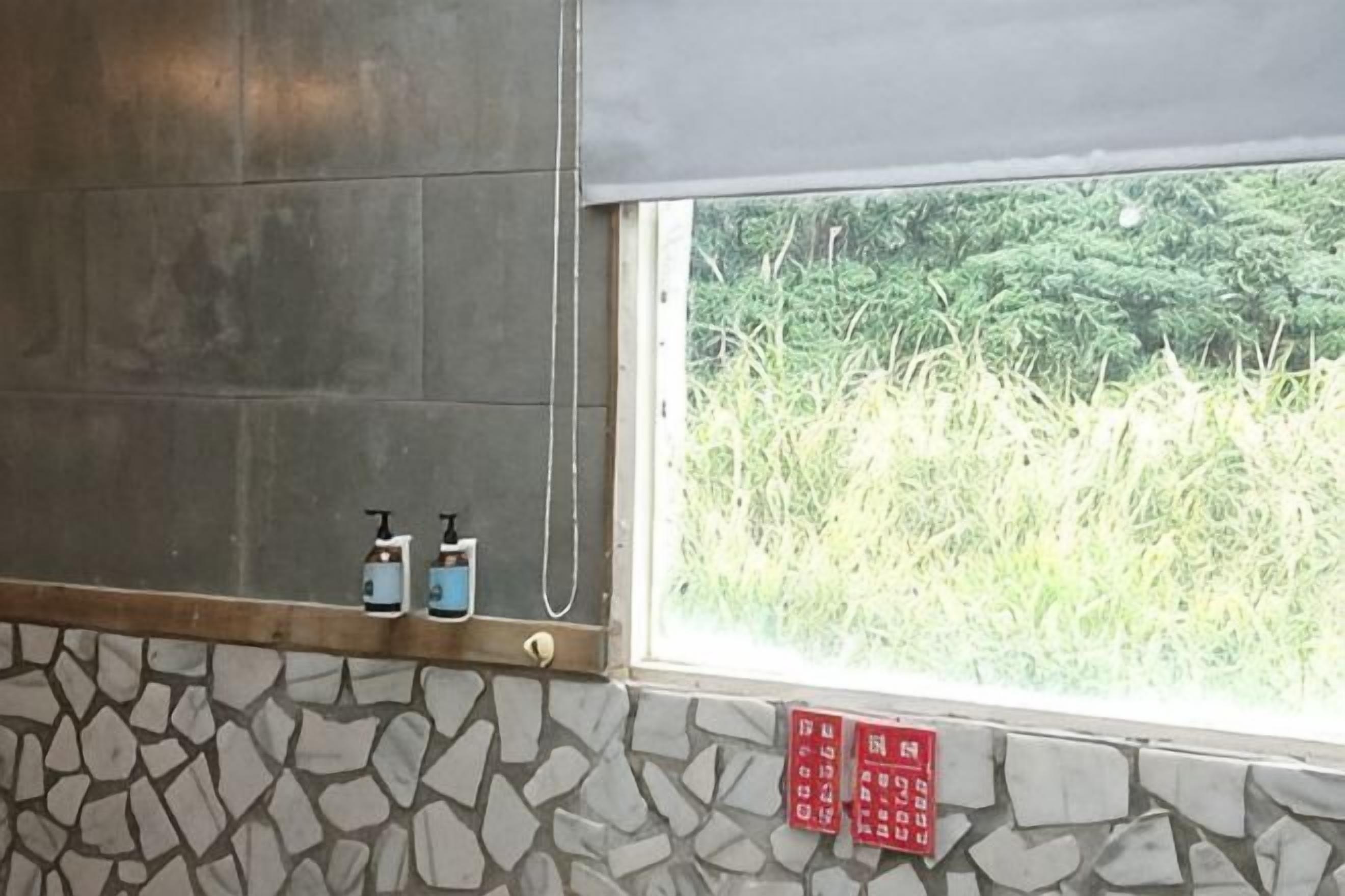 Een badkamer met een stenen muur, een raam met uitzicht op groen en twee zeepdispensers aan de muur.
