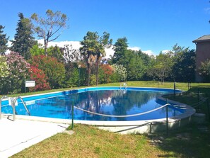 Ein rechteckiger Pool mit glasklarer, blauer Wasseroberfläche, umgeben von einer Rasenfläche und verschiedenen Bäumen.