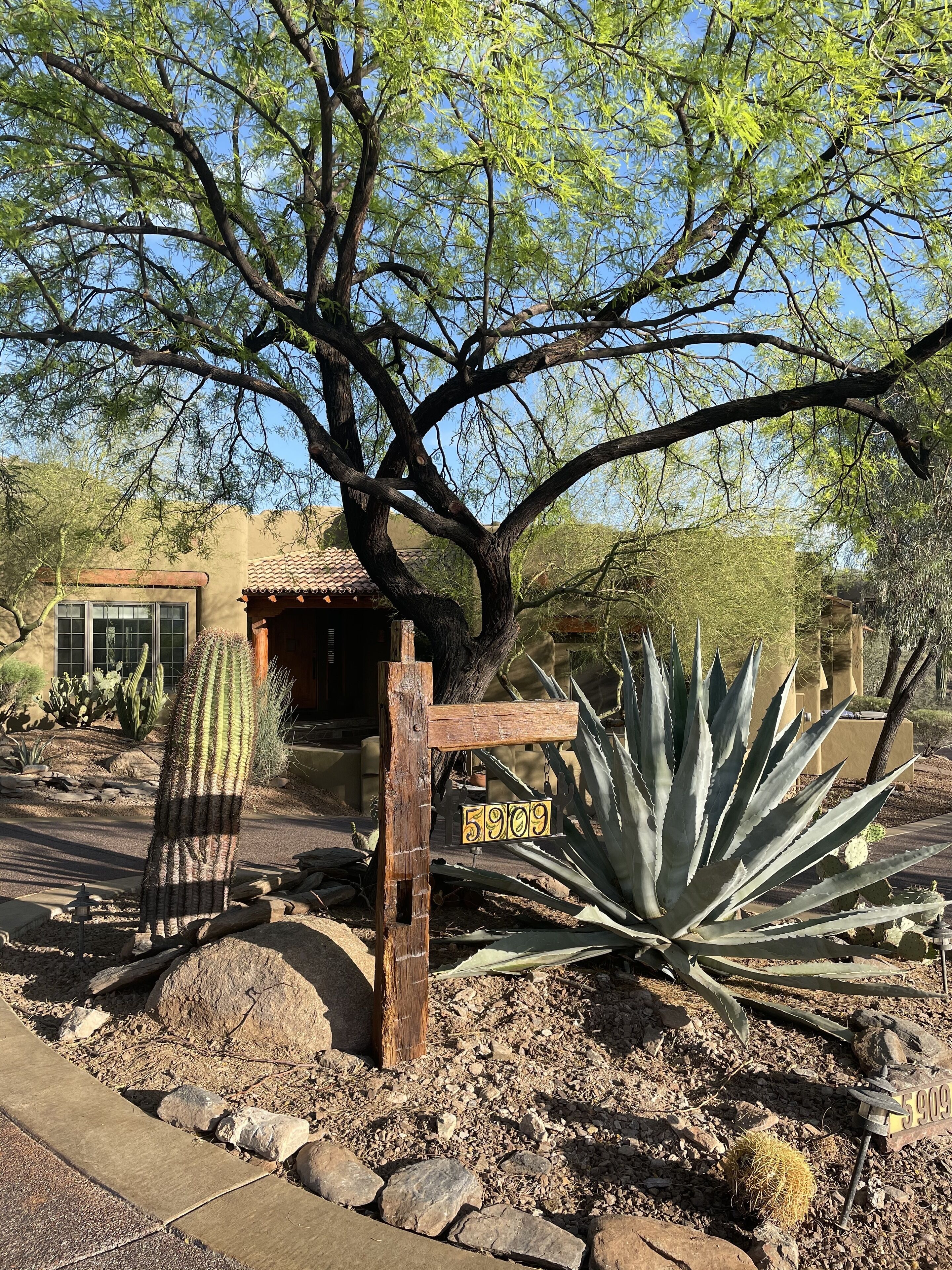 Black Mountain Oasis