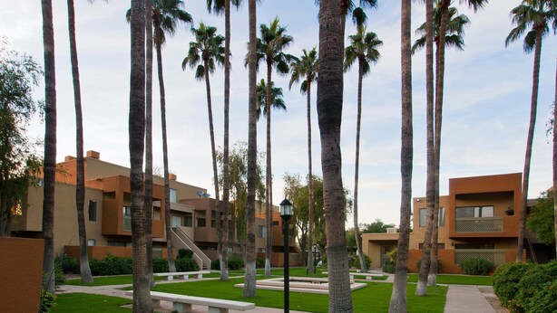 Un patio con palmeras, un sendero y edificios modernos con balcones.